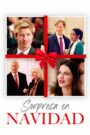 Sorpresa en Navidad